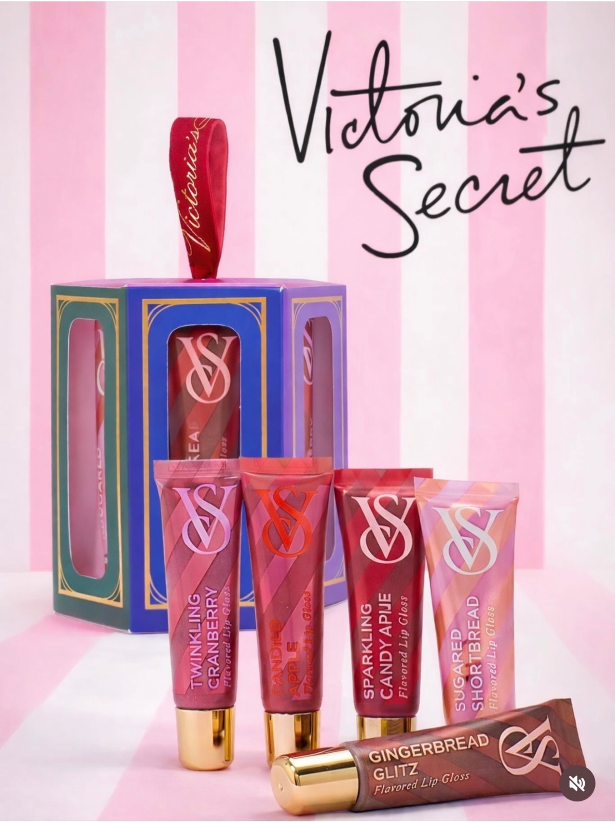 Victoria's Secret Set x 5 Gloss VS